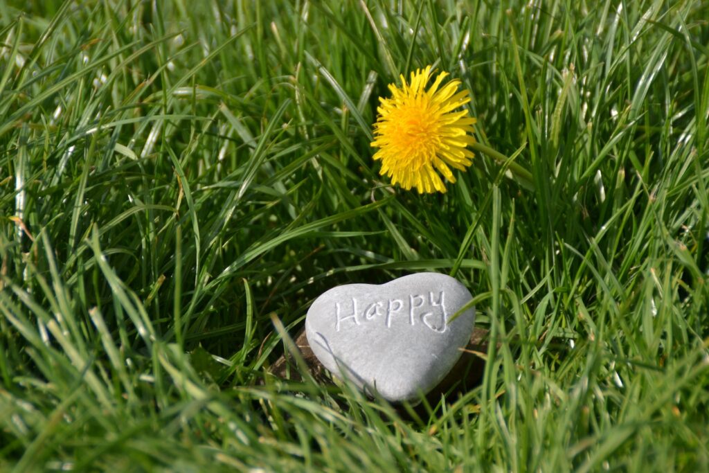 avoiding toxic positivity heart-shaped stone grass dandelion
